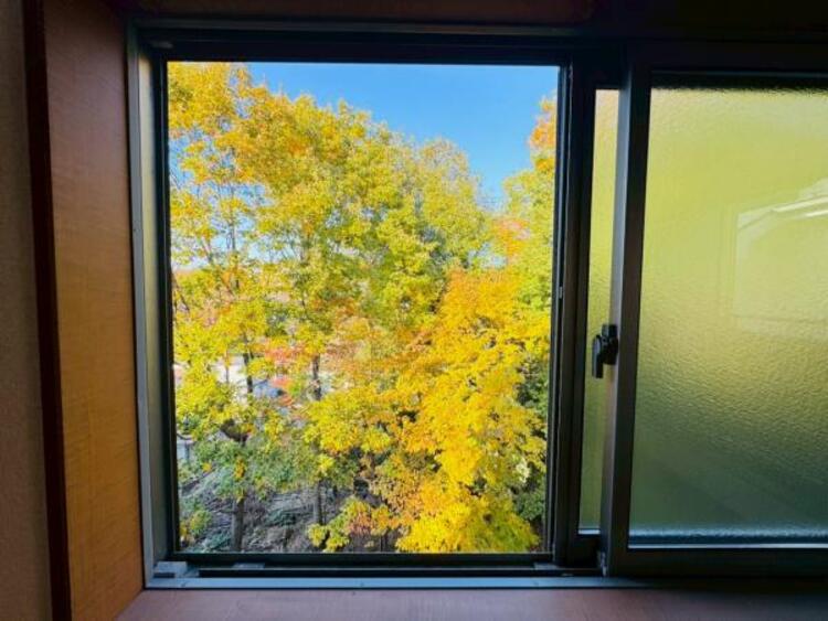 その他 【2025年11月撮影】