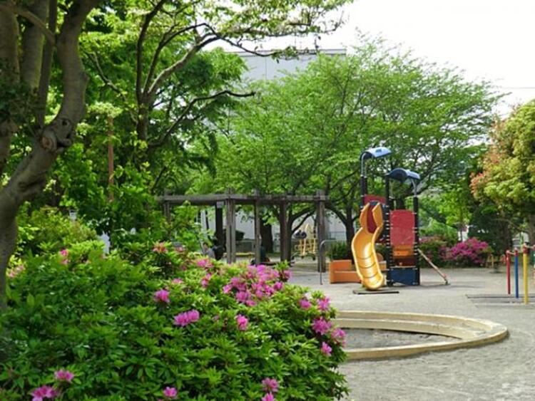 周辺 衣笠栄町公園まで約350ｍ