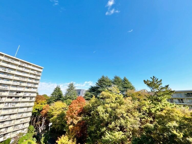 バルコニー 頬をなでる、優しい風を感じることが出来ます。