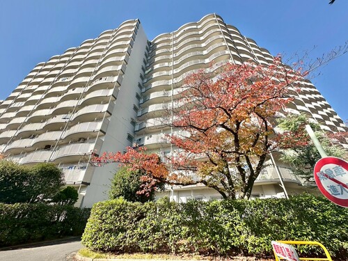 グリーンコーポ千寿２号棟の物件画像