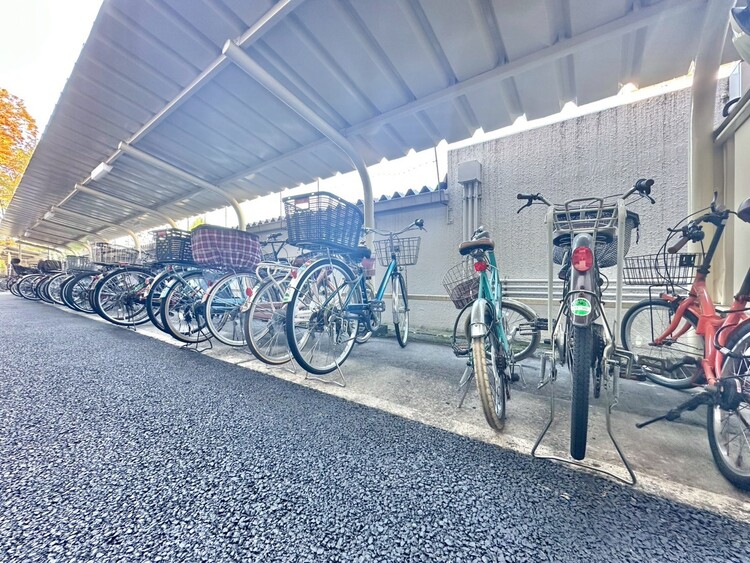 設備 整理整頓された駐輪場で、管理体制の良好さがうかがえます。