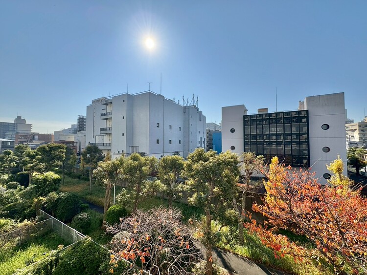 バルコニー 頬をなでる、優しい風を感じることが出来ます。