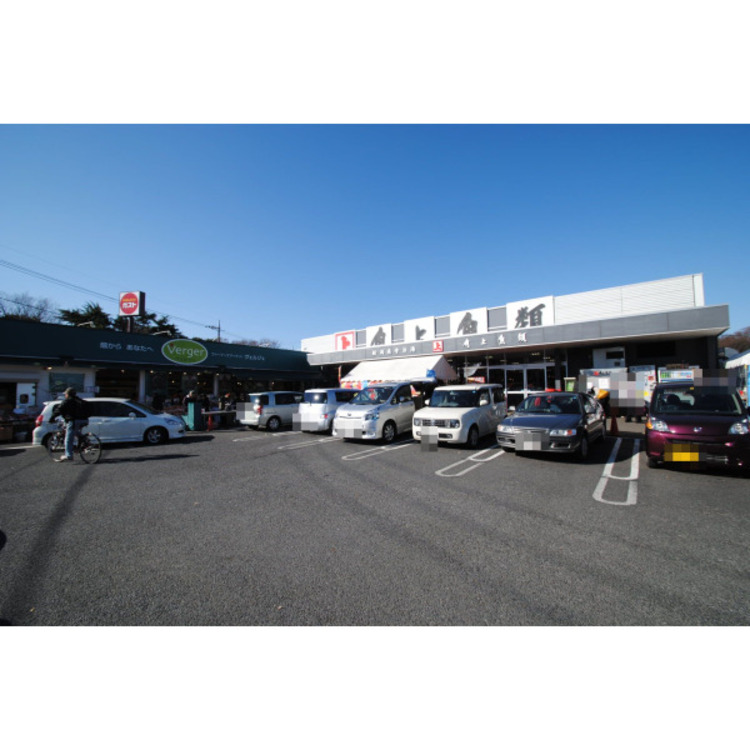 周辺 角上魚類(約400m)