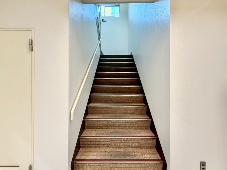 その他 共用部の階段です。明るく清潔に管理されています。