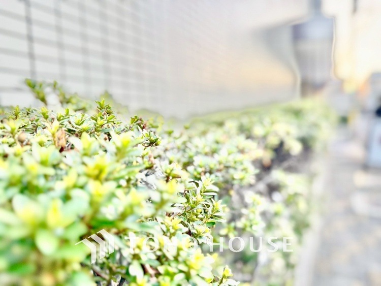 トイレ ◆トイレ◆トイレも全て新品に交換されており、清々しく新生活を始めることができます。白基調の清潔感のある空間に生まれ変わりました。