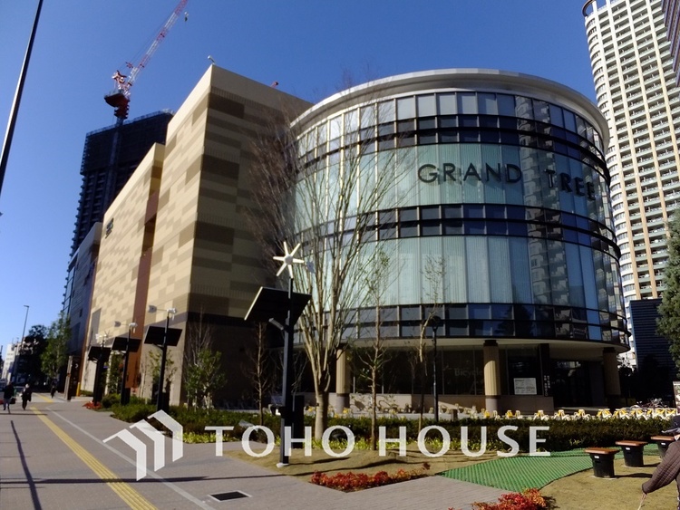 周辺 グランツリー武蔵小杉　距離400ｍ