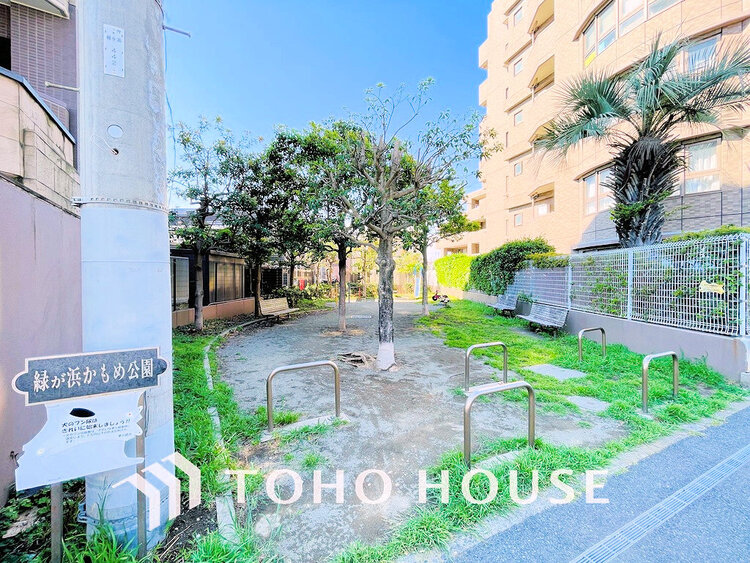 周辺 緑が浜かもめ公園　距離2200m
