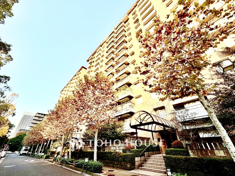 外観 ◆居心地のいい暮らし◆には欠かせない眩い採光。ゆったりとした幅の窓からこの空間に降り注ぐ採光が絶えない。明るいリビングこそ居心地のいい暮らしが待っているのだと思う。