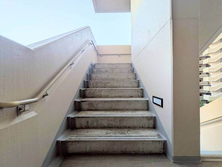 その他 共用部の階段です。明るく清潔に管理されています。