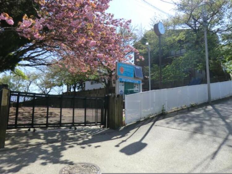 周辺 金井幼稚園まで約380ｍ