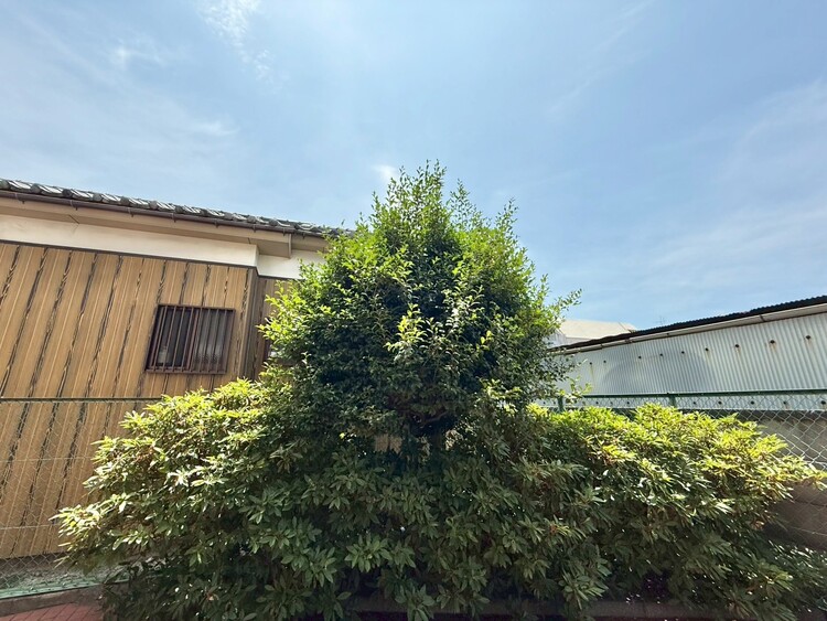 バルコニー 窓を開けると広がる青空。心をリフレッシュして日々を過ごしていきましょう。