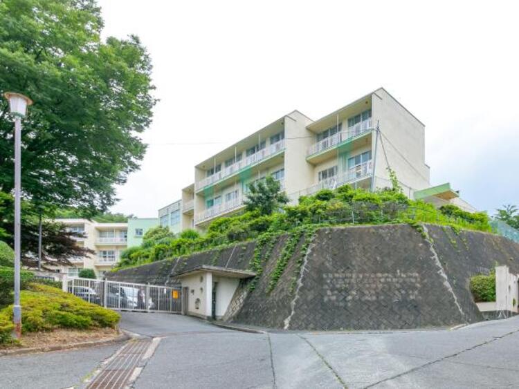 周辺 八王子市立小宮小学校迄790ｍ