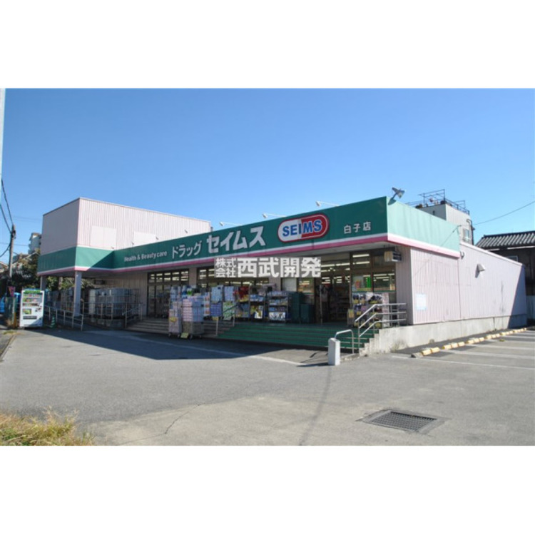 周辺 セイムス(約1100m)