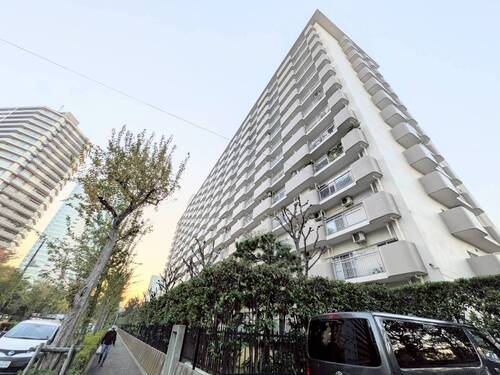 シティコープ豊洲の画像