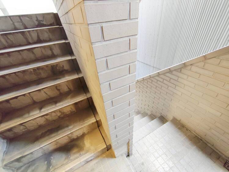 その他 共用部の階段です。明るく清潔に管理されています。