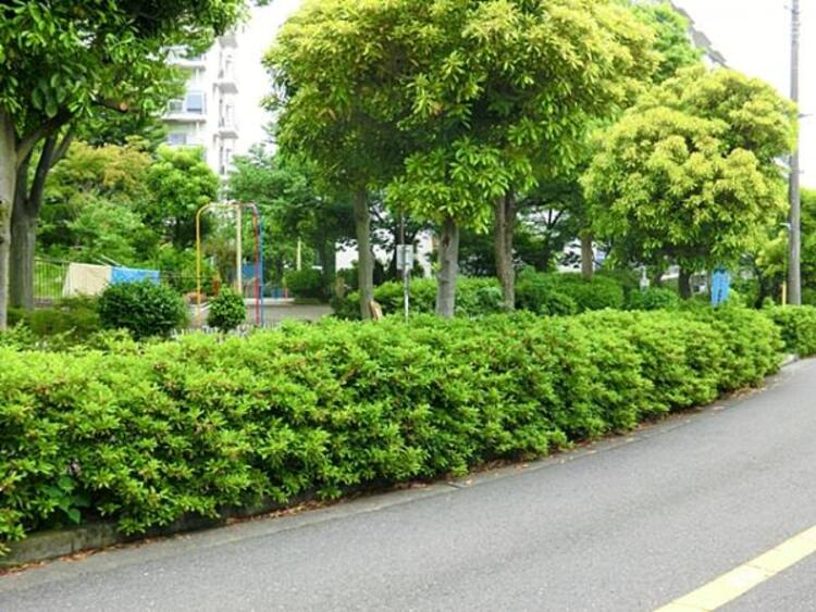 周辺 狩場町第二公園まで約600ｍ