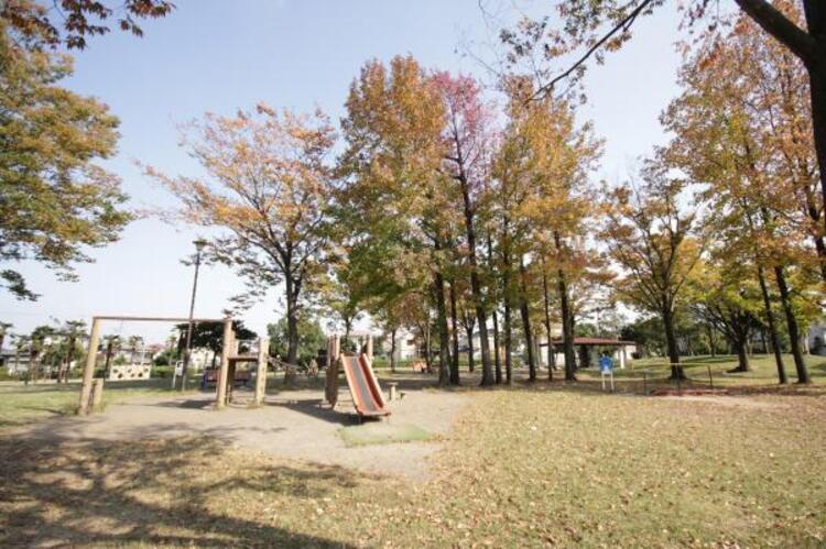 内装 北野台中央公園迄660ｍ