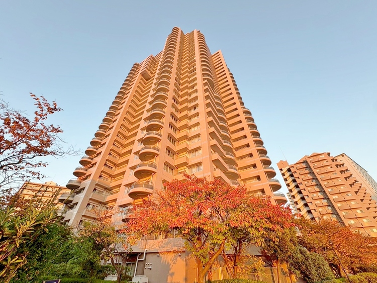 外観 資料には掲載していない情報が、現地にはたくさんあります。是非一度、現地をご確認ください。