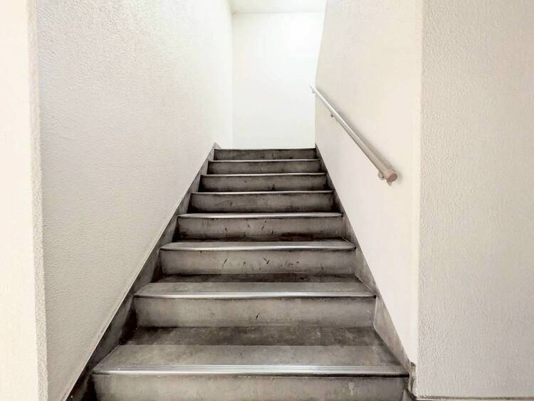 その他 共用部の階段です。明るく清潔に管理されています。