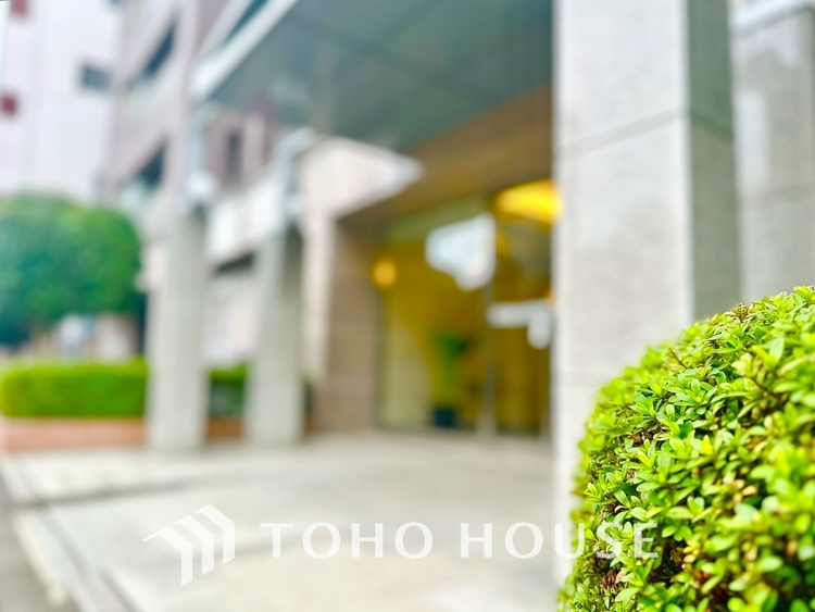 外観 【APPEARANCE】◆眩い◆光が燦々と入り、家族の笑顔を照らす。「いつまでも続いて」と願う夢のような毎日がここにある。