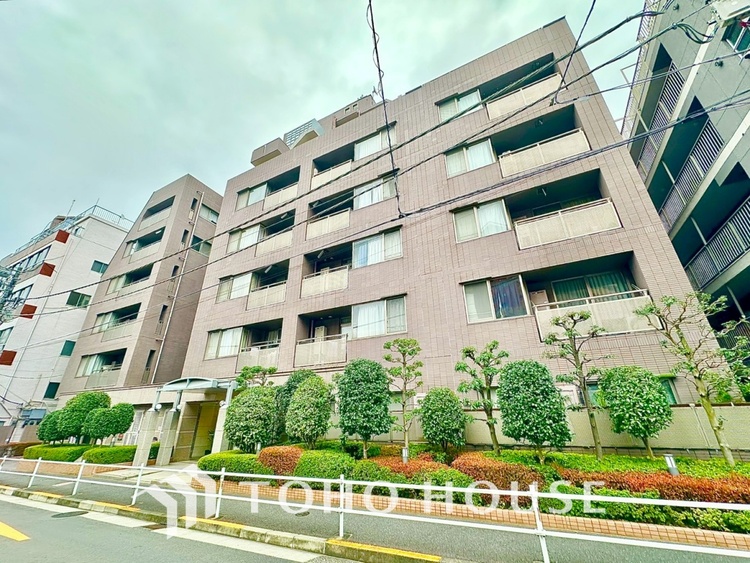 外観 【APPEARANCE】◆陽光◆が差し込む。この開放的な空間に家族の笑顔が集う。家族が一緒に過ごす空間は明るく、そして居心地よく。