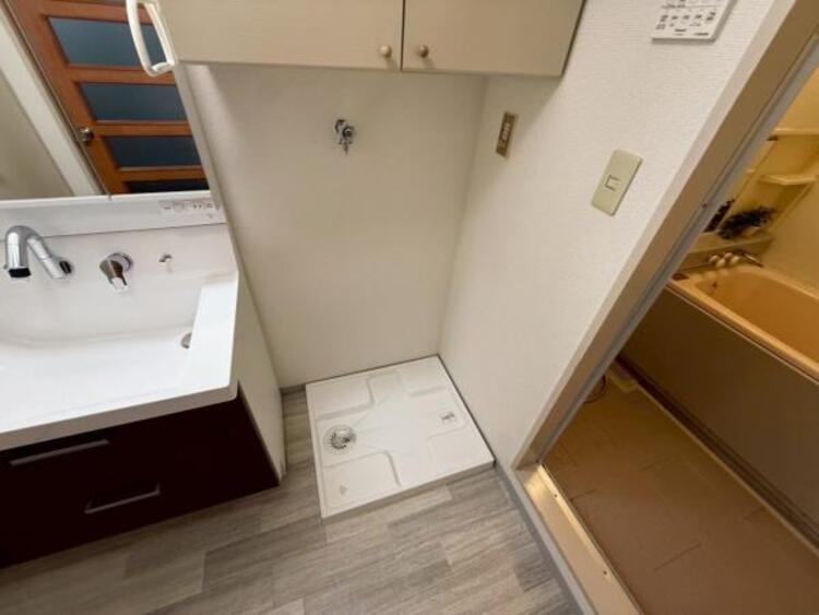 その他 【2025年11月撮影】