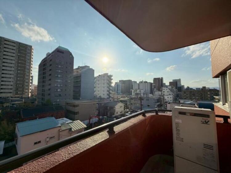 その他 【2025年11月撮影】