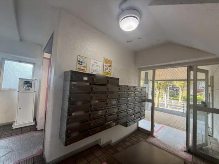 その他 【2025年11月撮影】