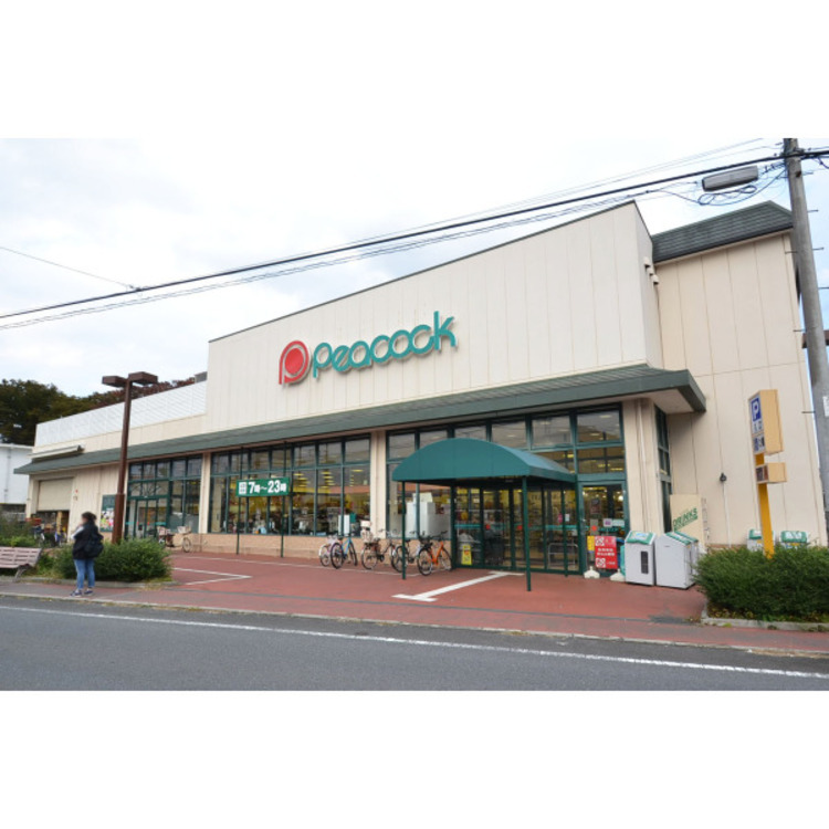 周辺 ピーコック(約650m)