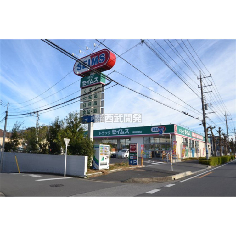 周辺 セイムス(約410m)