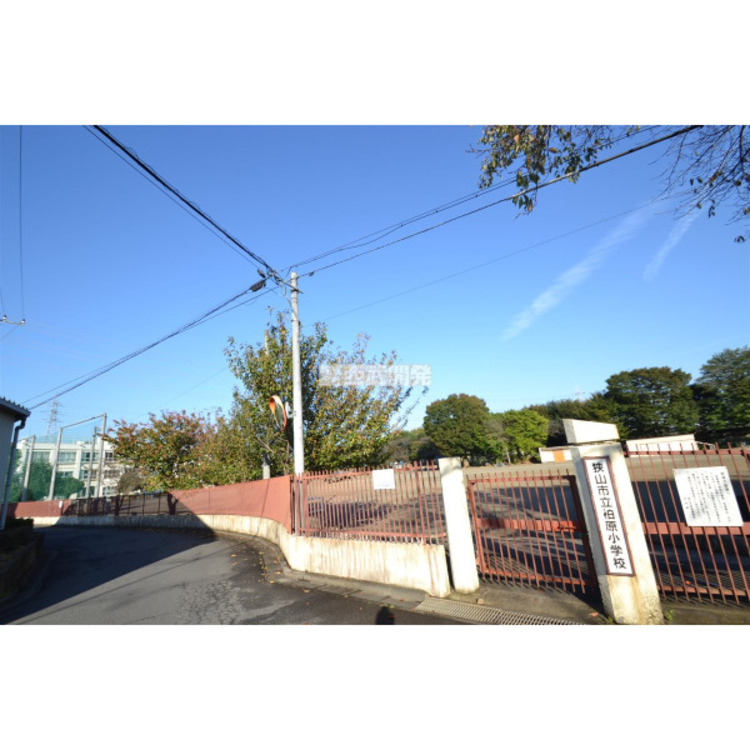 周辺 柏原小学校(約380m)