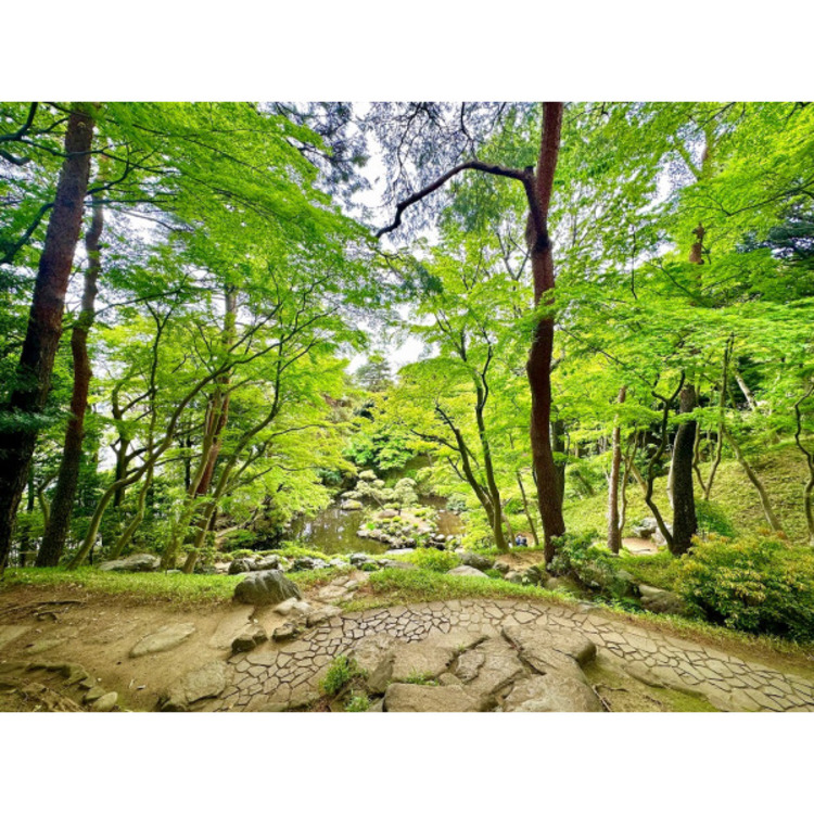 周辺 殿ヶ谷戸庭園(約600m)