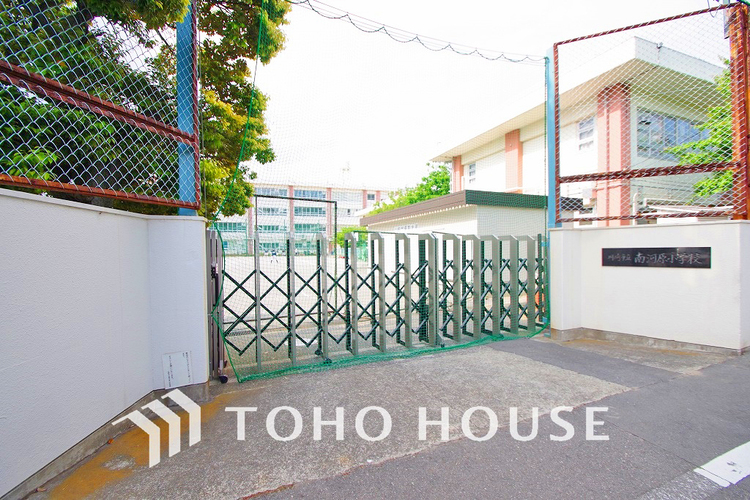 周辺 川崎市立南河原小学校　距離230ｍ