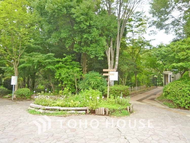 周辺 茅ケ崎公園　距離550ｍ