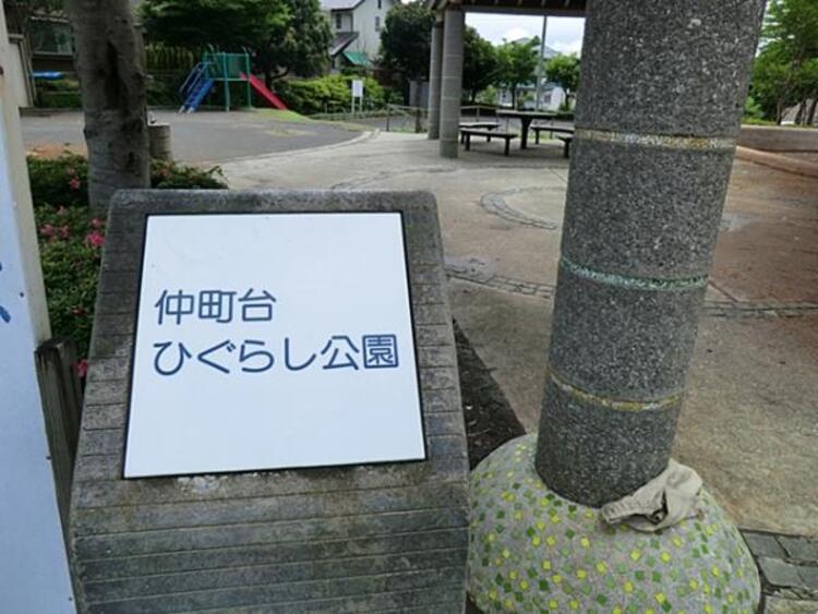 周辺 仲町台ひぐらし公園まで約1000ｍ