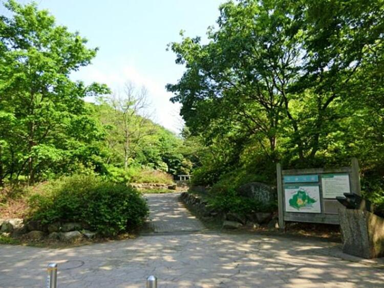 周辺 坪呑公園まで約100ｍ