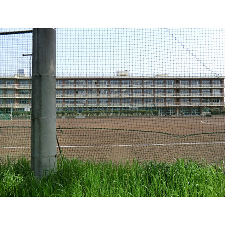 周辺 南陵中学校(約1600m)