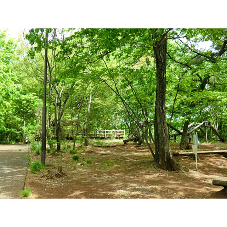 周辺 大谷公園(約400m)