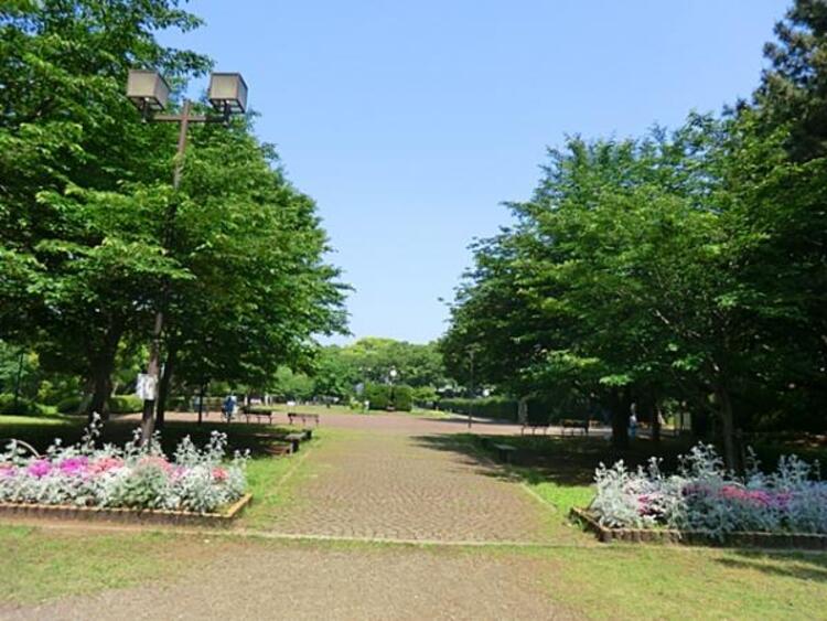 周辺 夢見ケ崎公園	750m