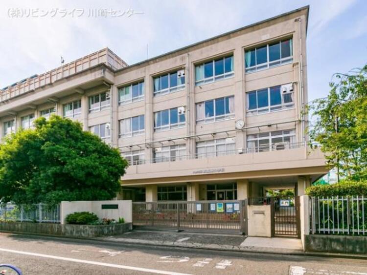 周辺 川崎市立南加瀬小学校　190ｍ