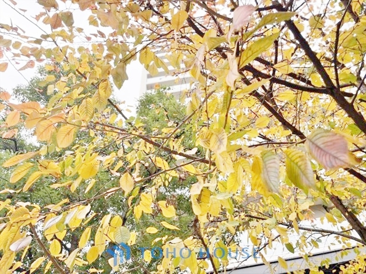 外観 ◆水面に映る◆紅葉を纏った山々を眺め、美しさのあまり感嘆のため息を漏らした事は無いだろうか。いつしか忘れかけていた自然の美しさと力強さを思い出させてくれる、そんな景色がここにもある。