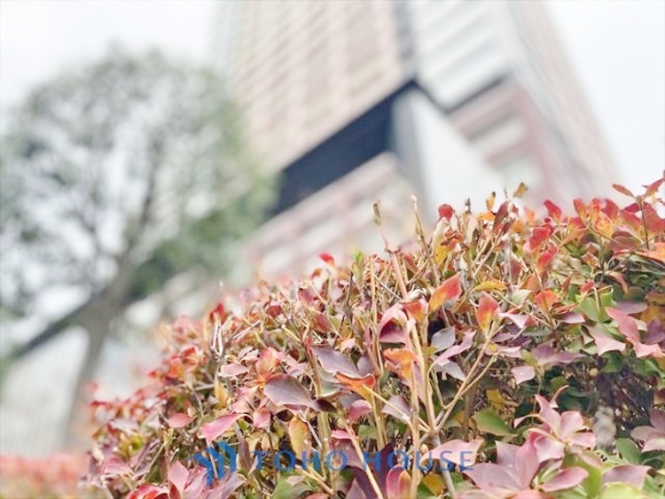 外観 ◆水面に映る◆紅葉を纏った山々を眺め、美しさのあまり感嘆のため息を漏らした事は無いだろうか。いつしか忘れかけていた自然の美しさと力強さを思い出させてくれる、そんな景色がここにもある。