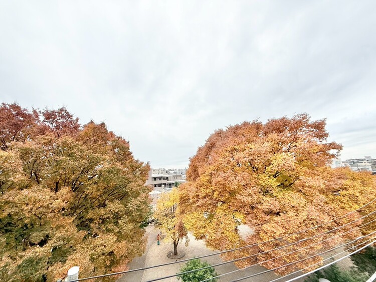 その他 陽当たり・通風・開放感に恵まれた環境です。