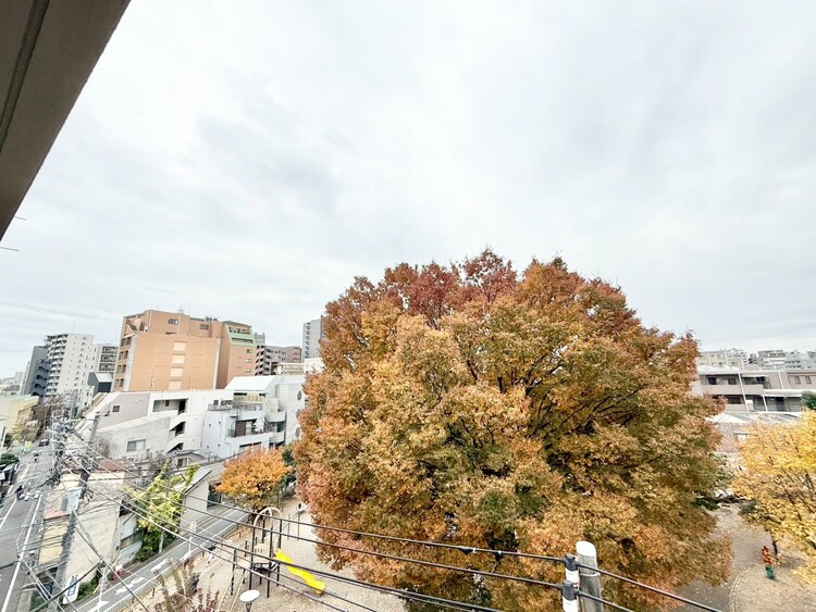 その他 眺望や窓からの景色が良いと、家で過ごす時間も快適です。