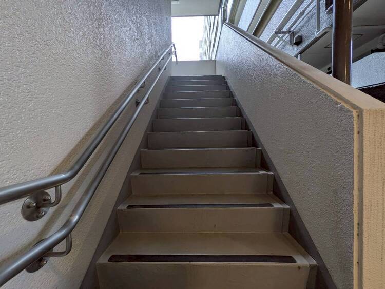 その他 共用部の階段です。明るく清潔に管理されています。