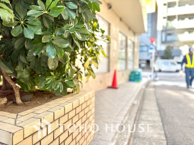 外観 【APPEARANCE】◆眩い◆光が燦々と入り、家族の笑顔を照らす。「いつまでも続いて」と願う夢のような毎日がここにある。