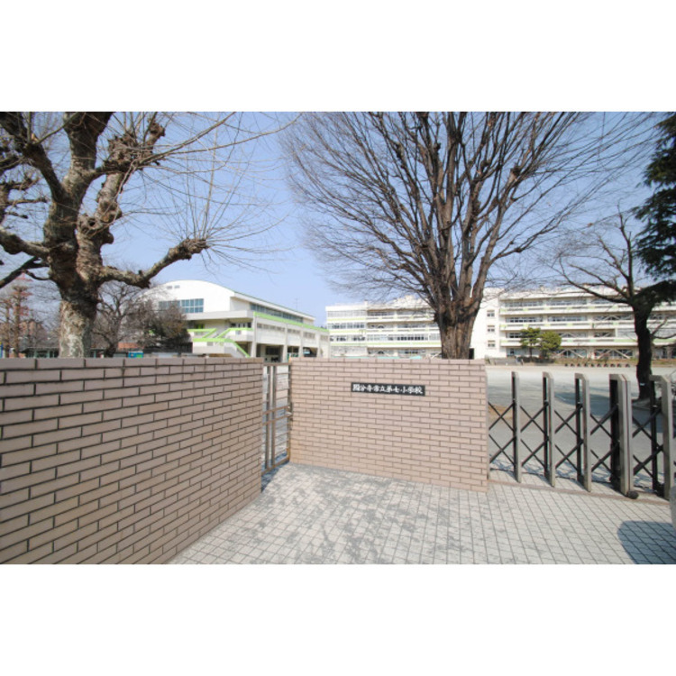 周辺 第七小学校(約360m)