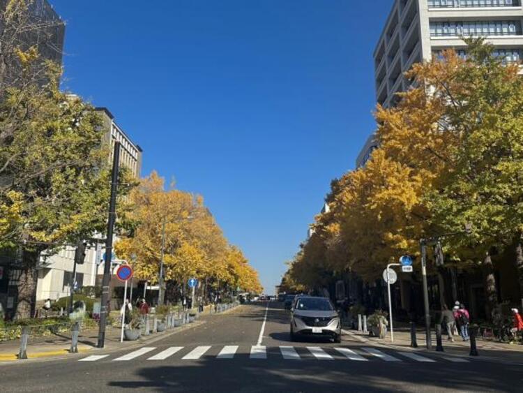 周辺 日本大通り	100m