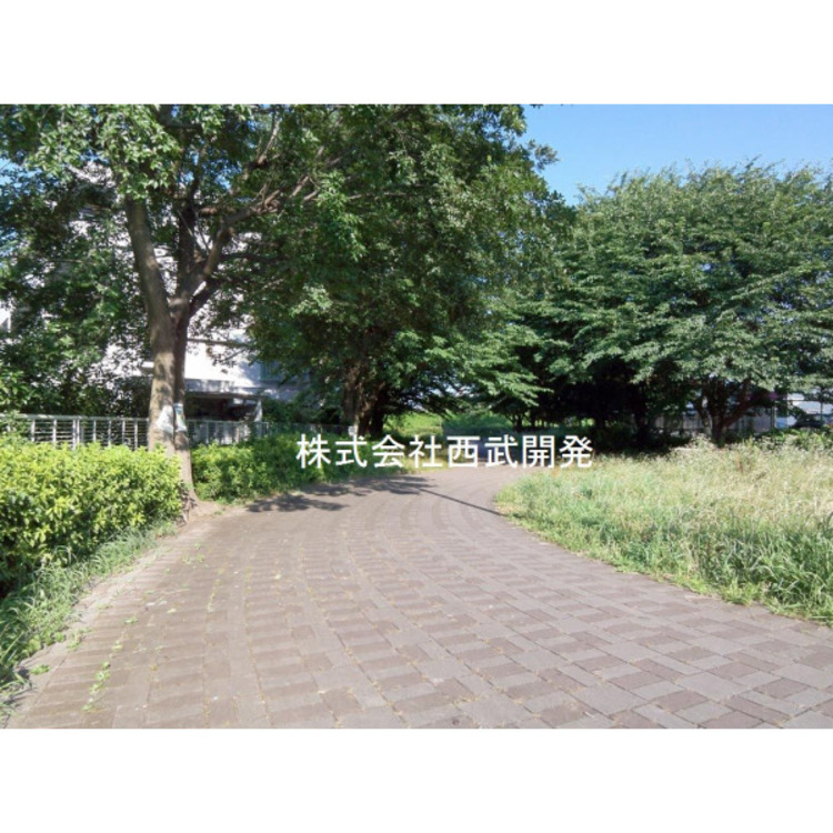 周辺 美住緑道(約210m)