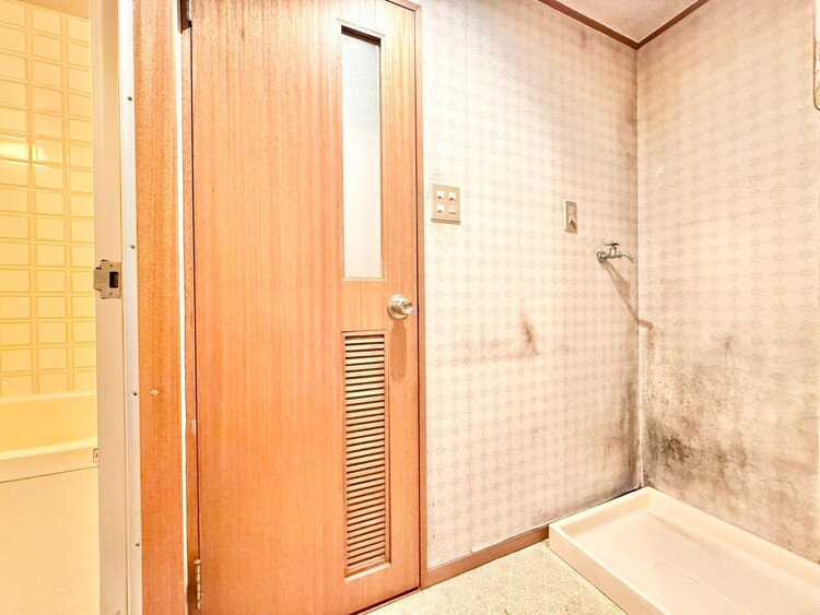 その他 十分な広さの脱衣所。